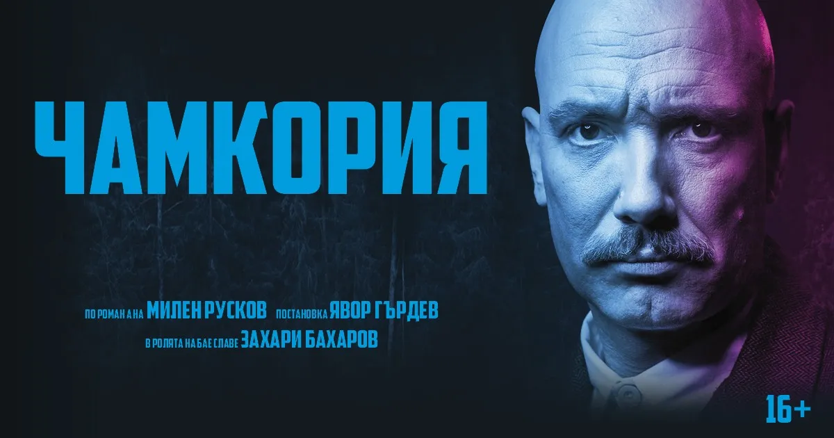 Чамкория, снимка 1
