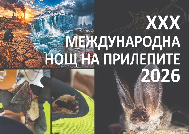 Историческият музей в Русе посреща Нощта на прилепите