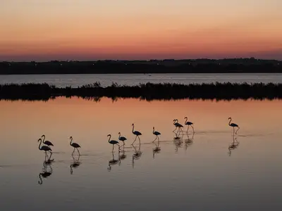 Бургаските солници оживяват в 24 впечатляващи кадъра: „Цветът на солта“, снимка 2